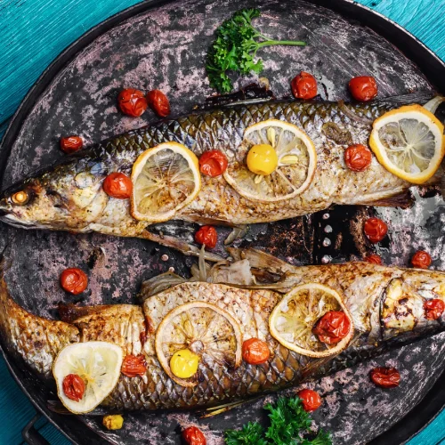 Olta Balık Çeşitleri